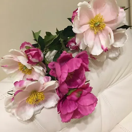 Emi House Re Di Roma, Intero Appartamento, 80 Mq *