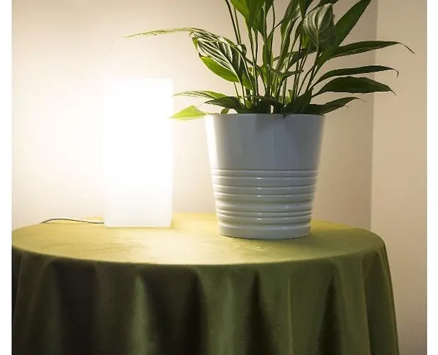 Apartman Emi House Re Di Roma, Intero Appartamento, 80 Mq Róma